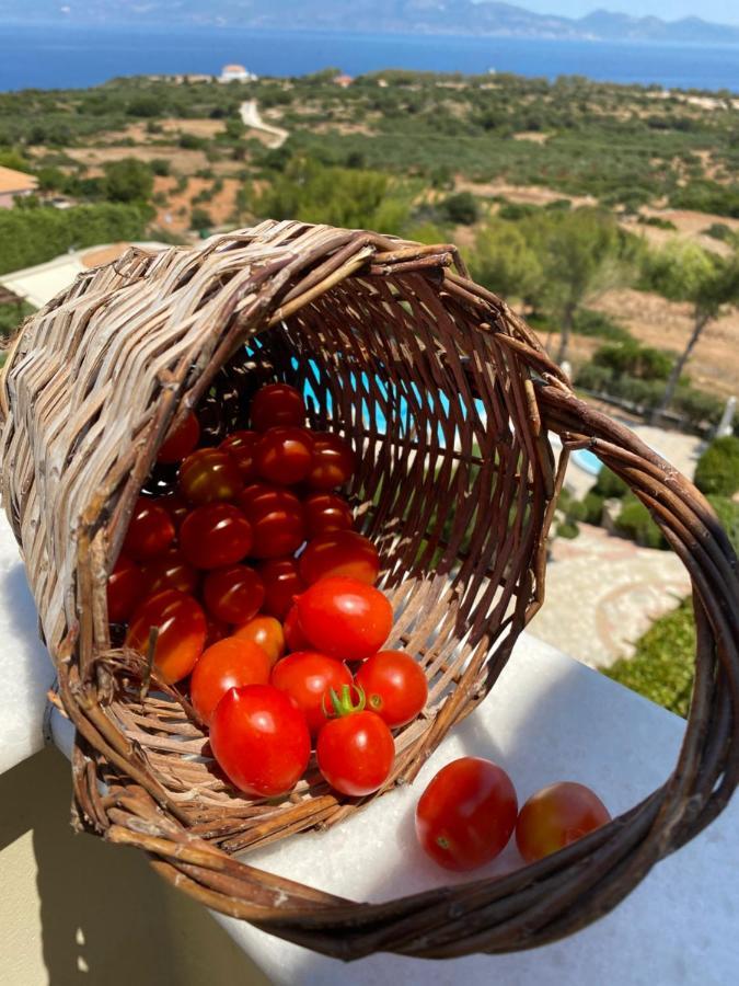 Hotel apartamentowy Lithies Sea View Boutique 2*